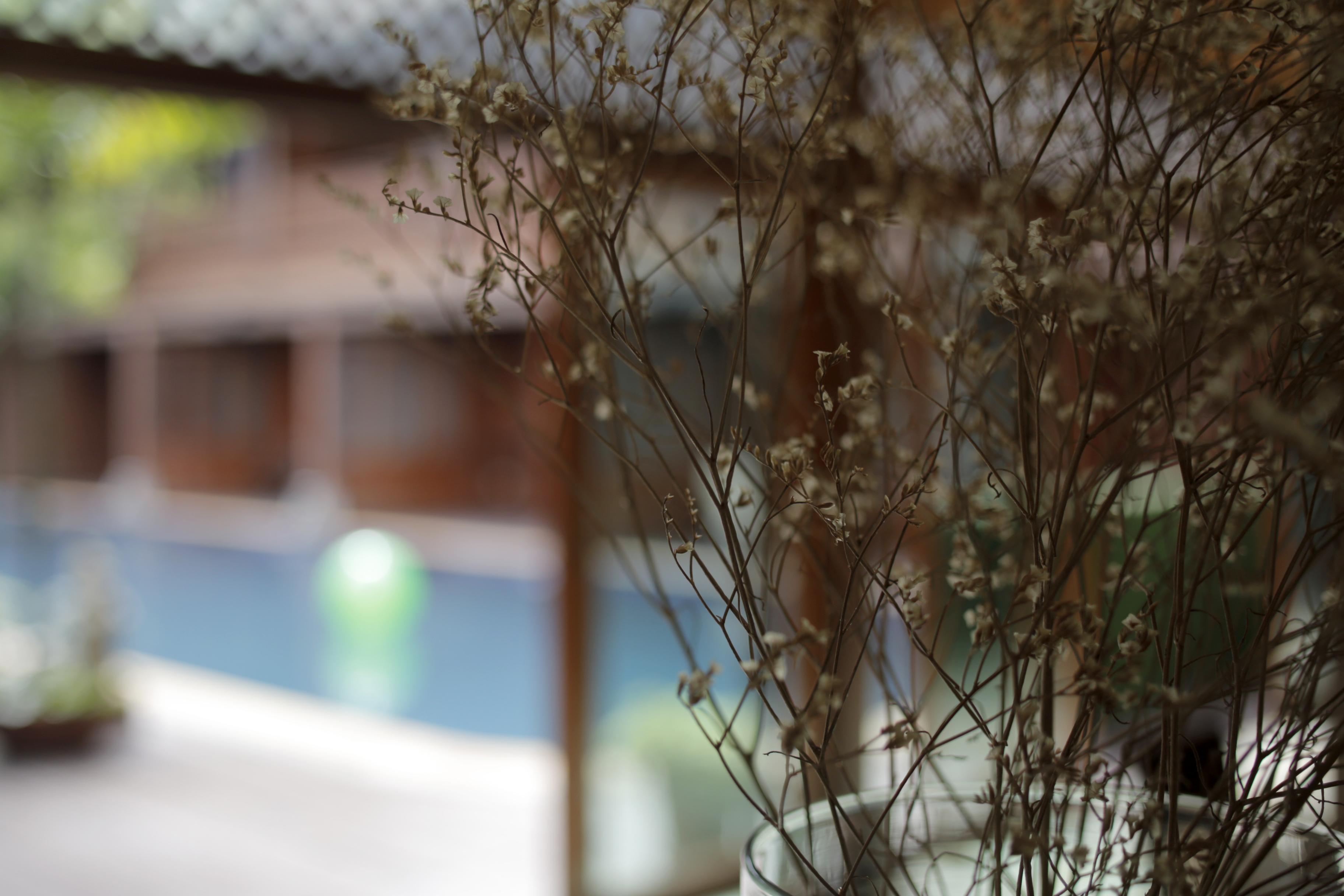 Baan U Sabai Boutique House-Sha Plus Chiang Mai Luaran gambar